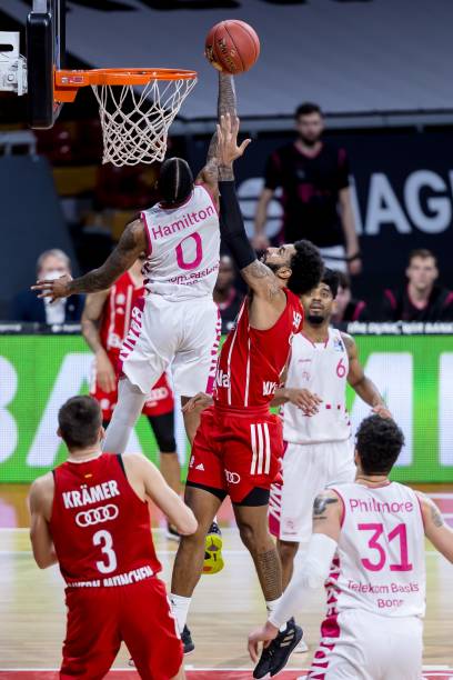 佩德里和加 佩德里和加