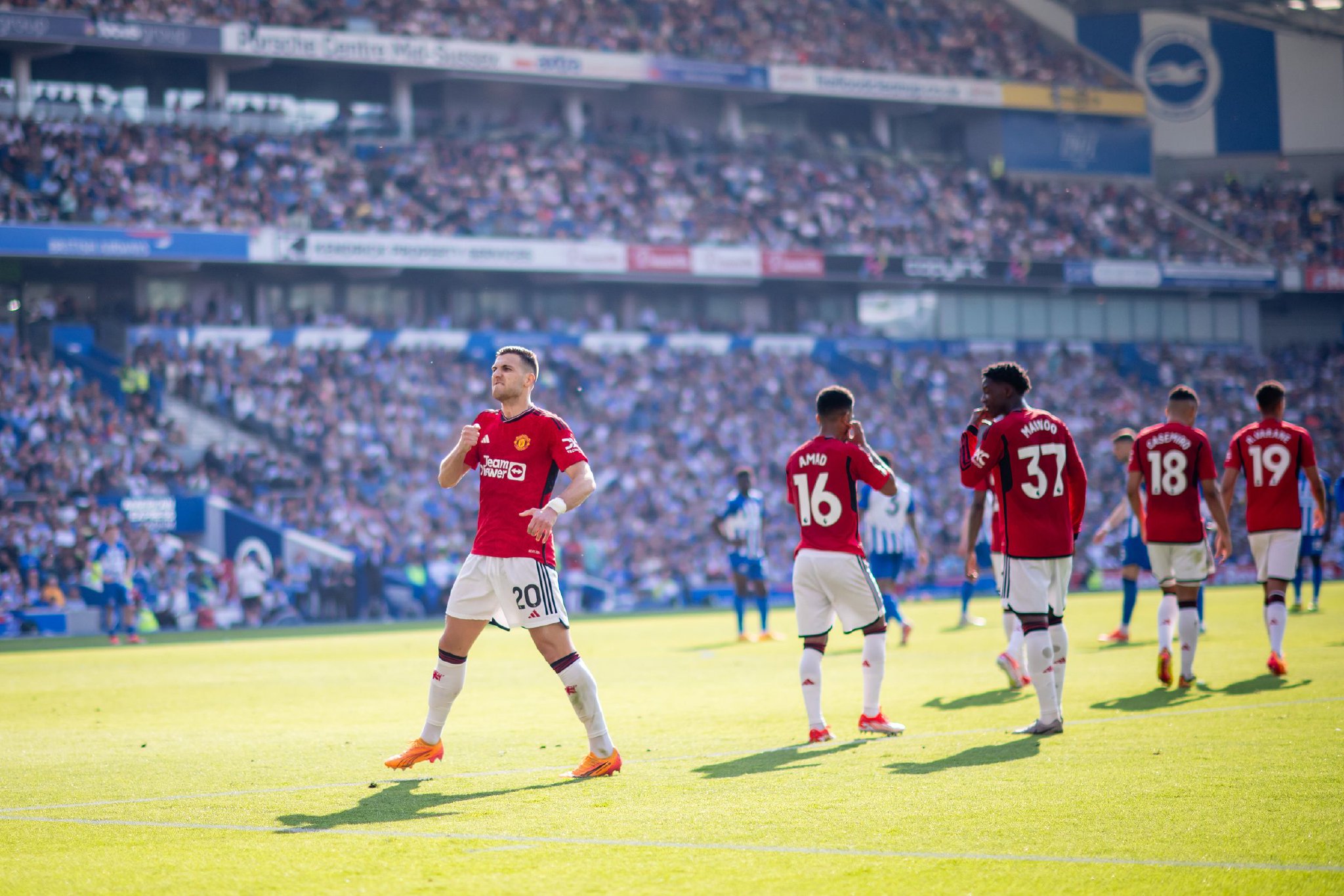 动的普及和 动的普及和